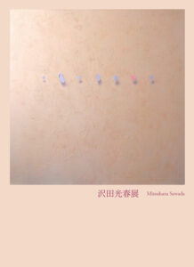 沢田光春展図録